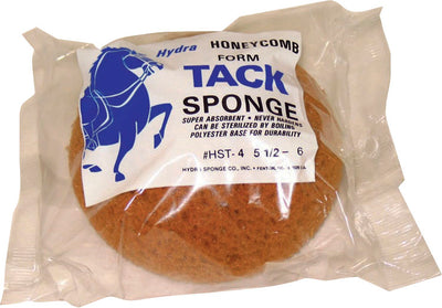 Hydra Honeycomb Form Tack Sponge, 5.5-6 in - Sponges