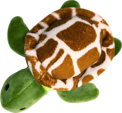 Snugarooz Baby Shelldon the Turtle, Green, 5 in - Plush