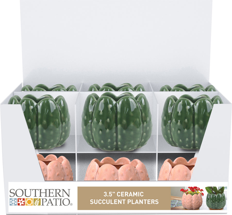 Southern Patio Wilder Cactus & Succulent Tray Pack, 3.5 in - Planters Specialty