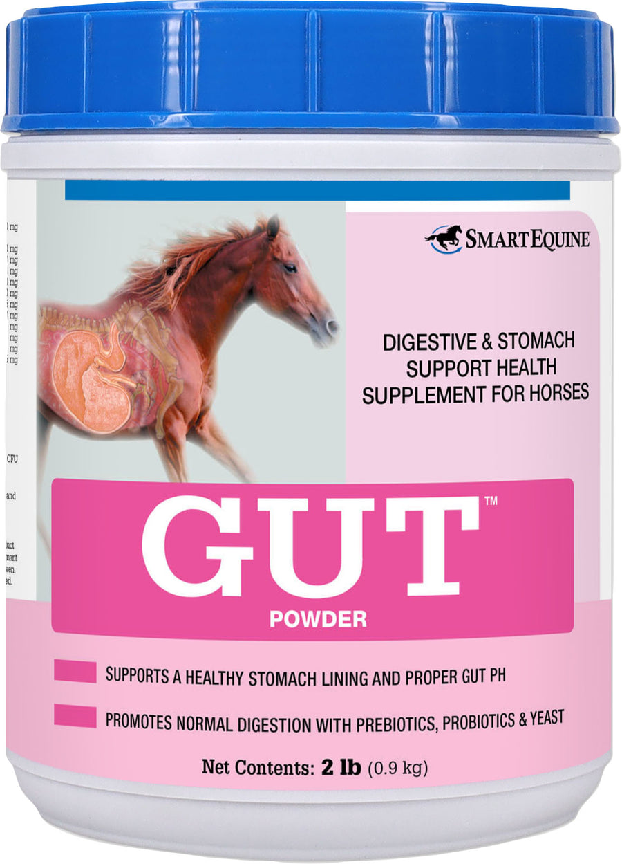 Smartequine Gut Digestive and Gi Support Powder, 2 lb - Digestion Ulcer