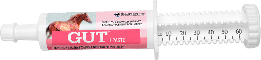 Smartequine Gut Paste, 60 cc - Digestion Metabolic