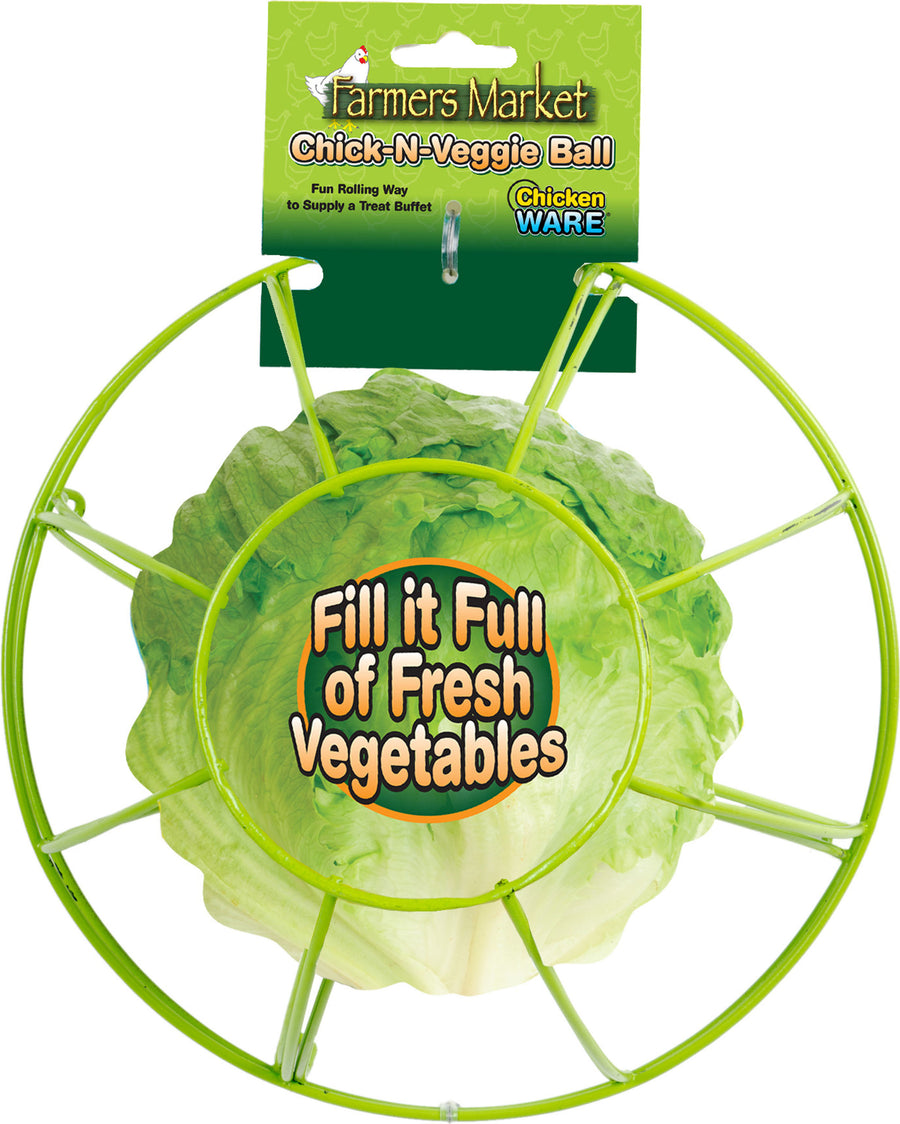 Ware Chicken Veggie Ball, Green, 4.5 in - Toys