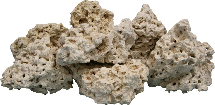 World Wide Imports Coral Base Rock, 40 lbs-4-8 in