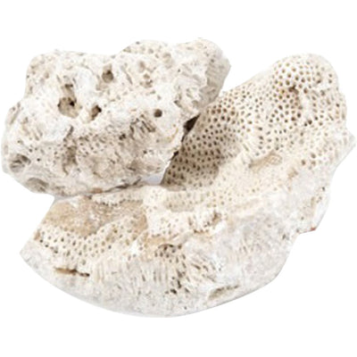 World Wide Imports Coral Base Rock, Coral, 40 lbs-12-17 in