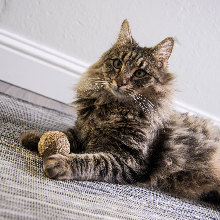 Smartykat Kiss Compressed Catnip Ball Cat Toy