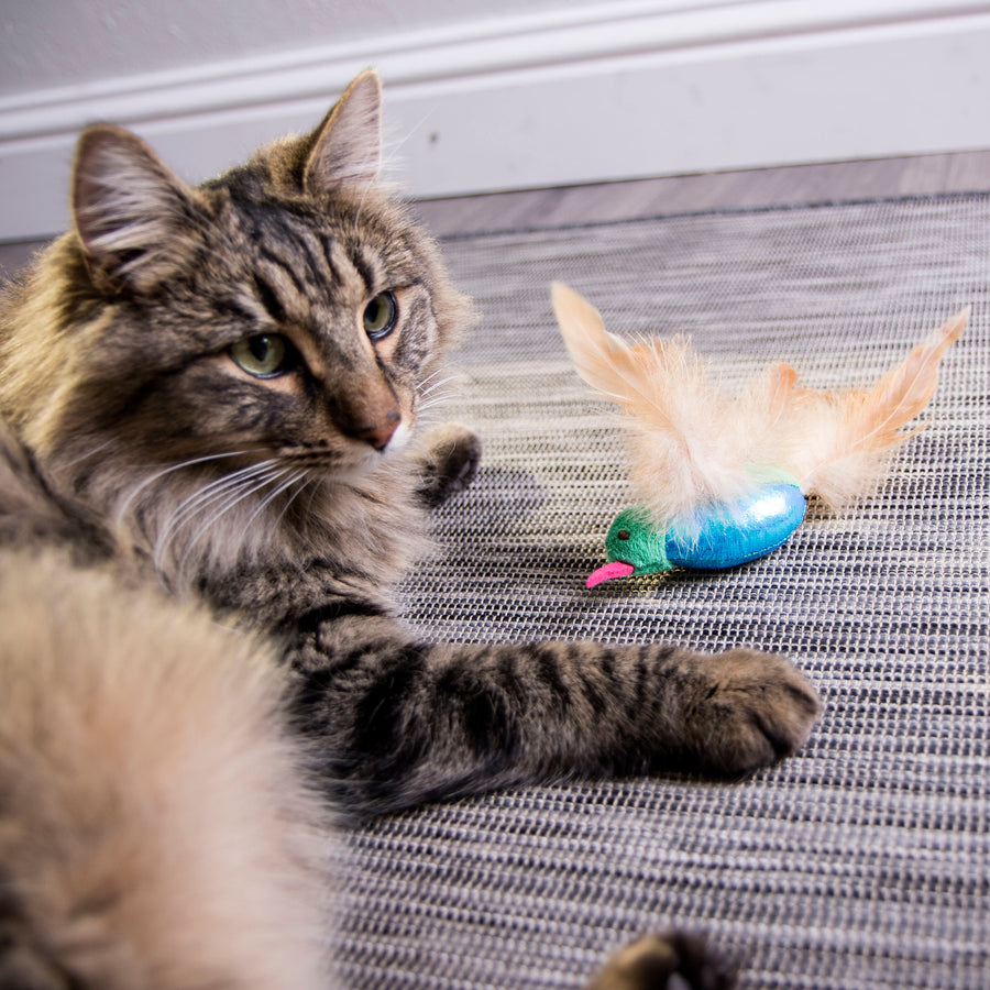 Smartykat Hum Singer Electronic Sound Cat Toy - Interactive
