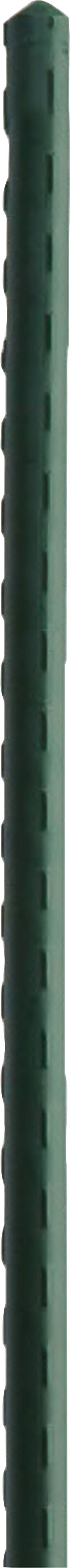 Bigtree Super Steel Stakes, 2 ft - Stakes and Supports