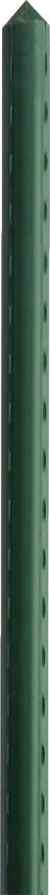 Bigtree Heavy Duty Super Steel Stakes, 6 ft - Stakes and Supports