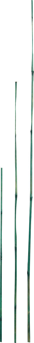 D&d Garden Packaged Bamboo Stakes, Green, 4 ft-25 pk - Stakes and Supports