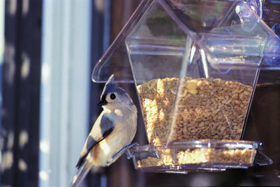 Aspects Window Cafe Bird Feeder, Clear, .75 qt Cap - Window Feeders-Seed