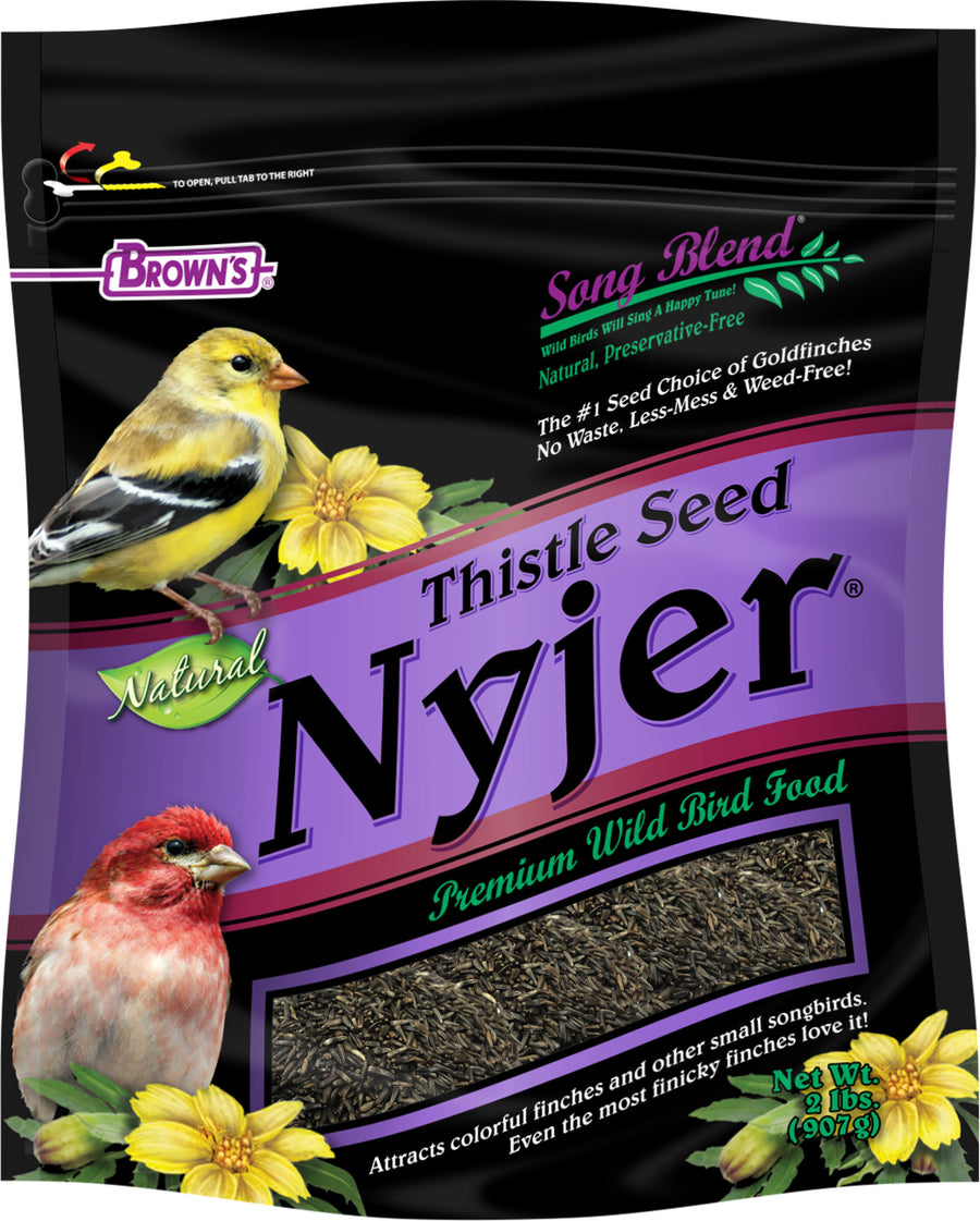 Brown's Song Blend Thistle Seed Nyjer, 2 lb - Thistle/Nyjer
