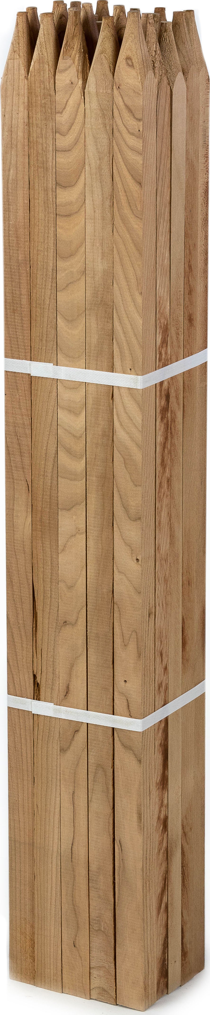 Eaton Wooden Garden Stake, Natural, 4 ft - Stakes and Supports