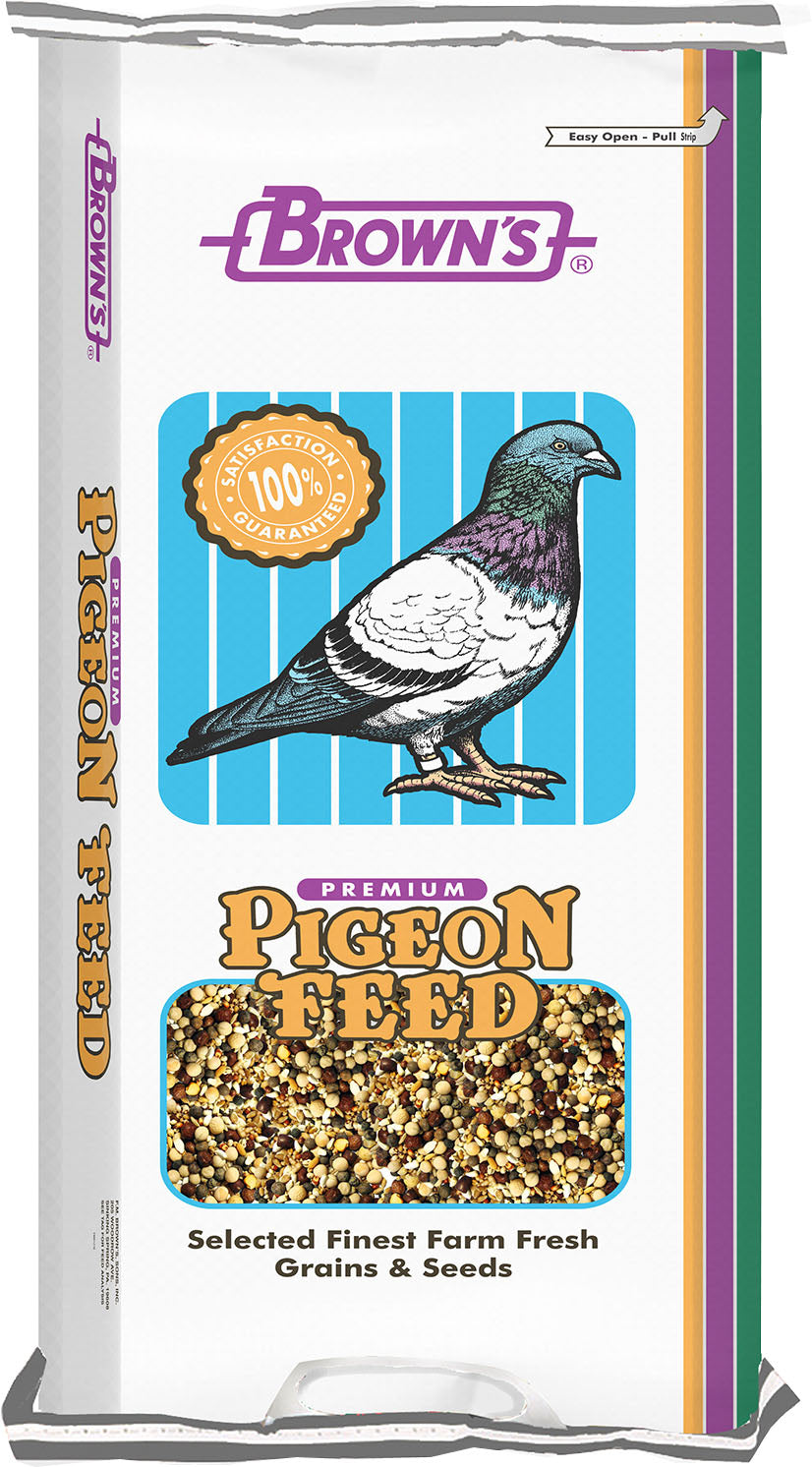 Brown's American Series Rock Mix Pigeon Food, 50 lb - Pigeon'