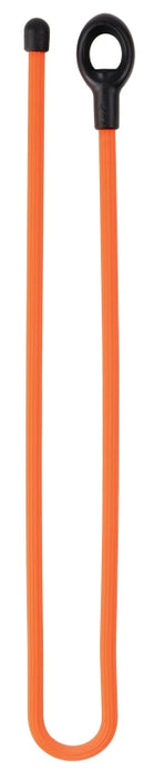 1192665.jpg
