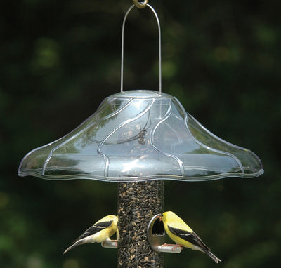 Aspects Fancy Dome for Bird Feeder, Clear, 14 in - Baffles-Hanging