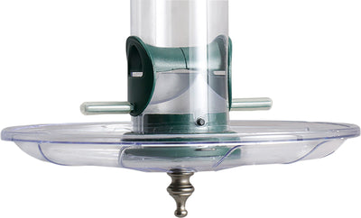 Aspects Fancy Swirl Seed Tray, Clear, 10 in - Seed Trays