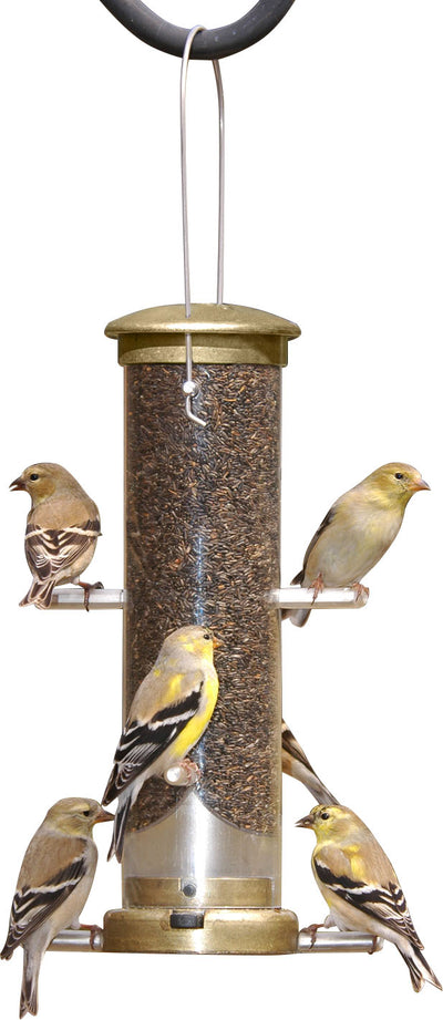 Aspects Quick-Clean Finch Tube Feeder, Brass, 11 in - Tube Type Feeders Thistle