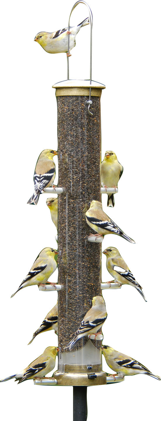 Aspects Quick-Clean Finch Tube Feeder, Brass, 19 in - Tube Type Feeders Thistle