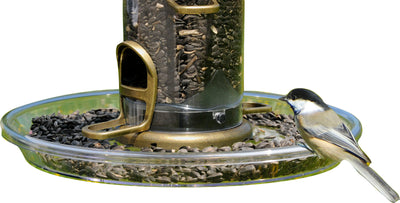 Aspects Quick-Clean Bigfoot Round Seed Tray, Clear, 12 in - Seed Trays