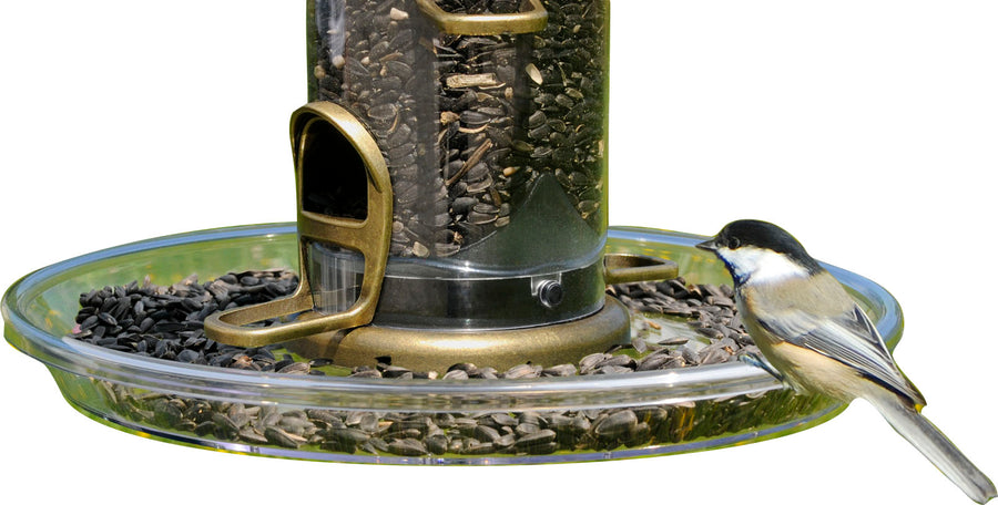 Aspects Quick-Clean Bigfoot Round Seed Tray, Clear, 12 in - Seed Trays
