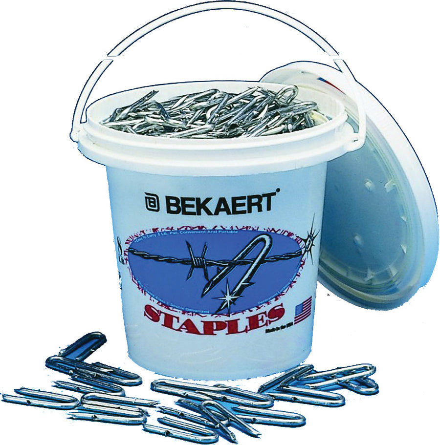 Bekaert Barbed Fence Staple Bezinal Coated Pail, 8 ga-1.75 in-8 lb - Staples