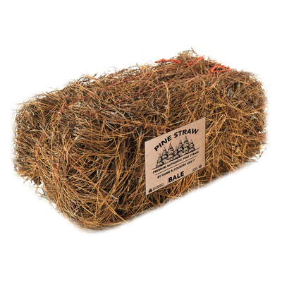 Premium Pine Straw Mulch Bale for Landscaping