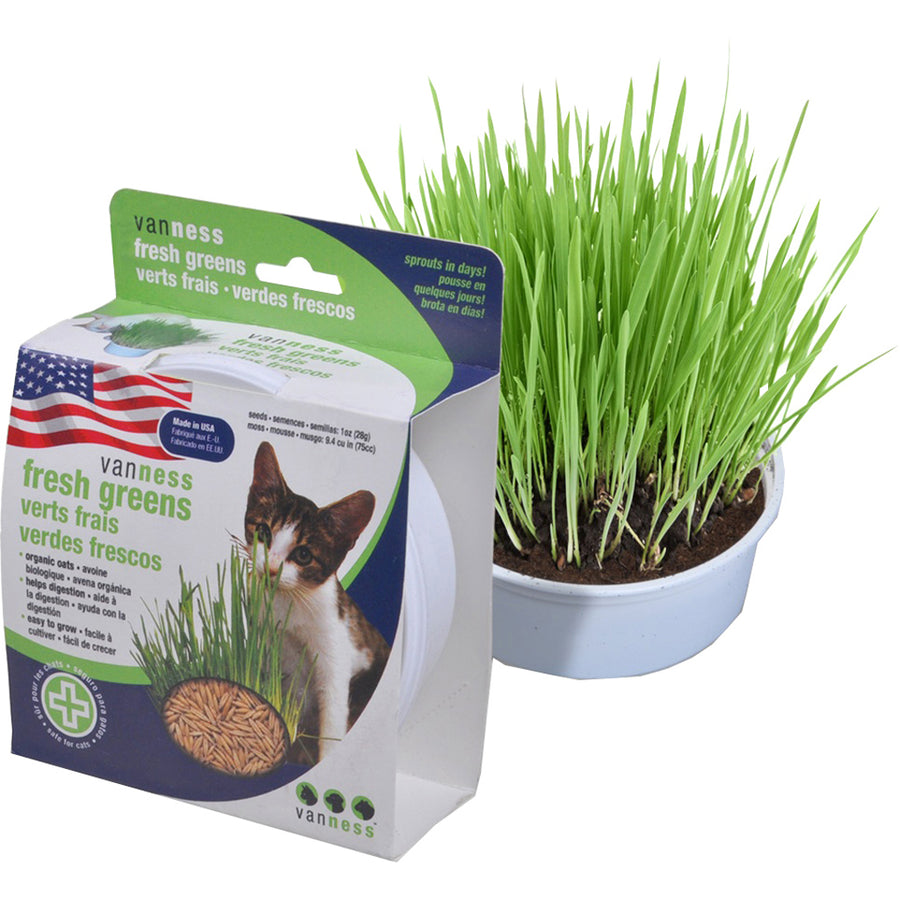Van Ness Oat Garden Kit - Cat Grass