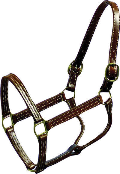 Beiler's Thoroughbred Halter, Brown, Horse