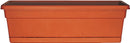 2363729.jpg