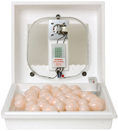 Little Giant 10300 Egg Incubator