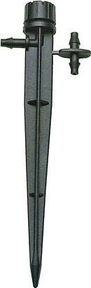 2651453.jpg