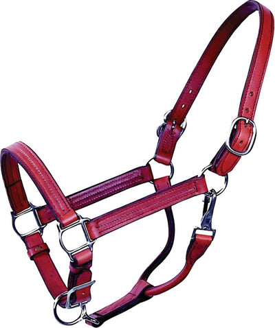 Beiler's Track Halter, Brown, Horse