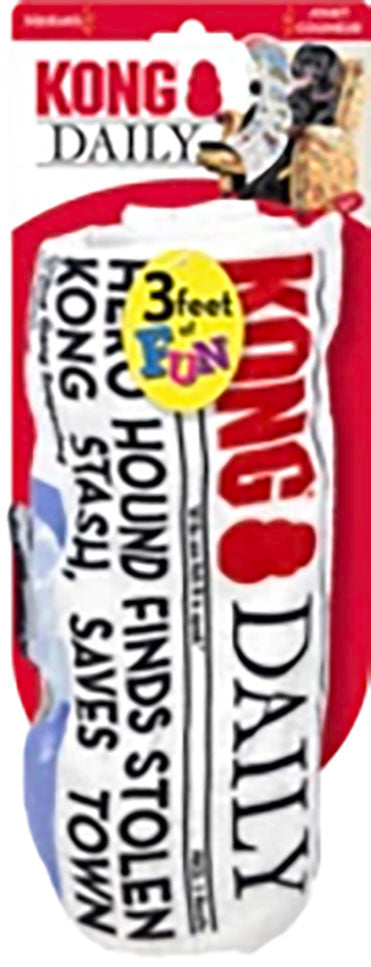 Kong Daily Newspaper, Multi, XL - Canvas