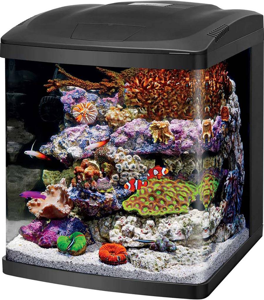 Coralife Biocube LED Aquarium, Black, 16 gal-15x16x17 in - Specialty