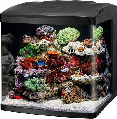 Coralife Biocube LED Aquarium, Black, 32 gal-20x21x21 in - Specialty