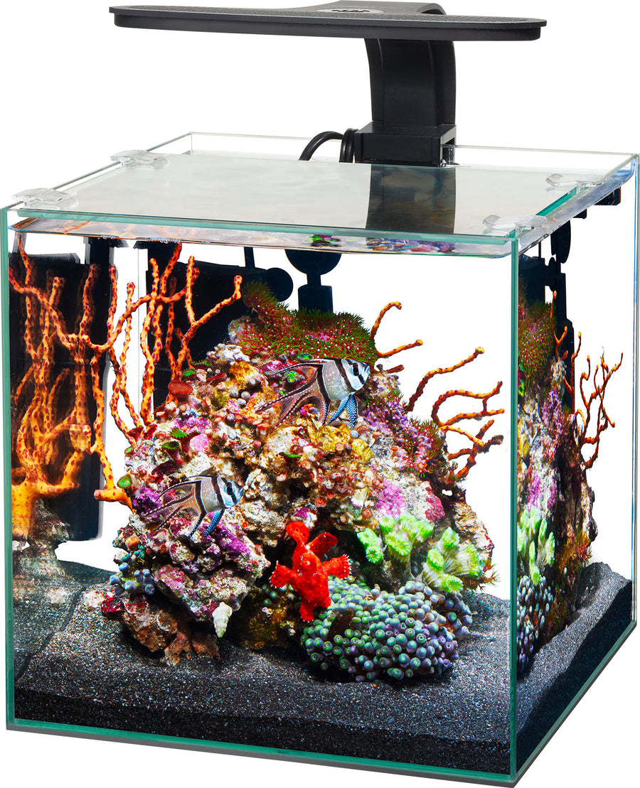 Aqueon Framless Cube Aquarium, 3 gal - Specialty