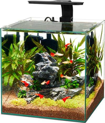 Aqueon Framless Cube Aquarium, 6 gal - Specialty