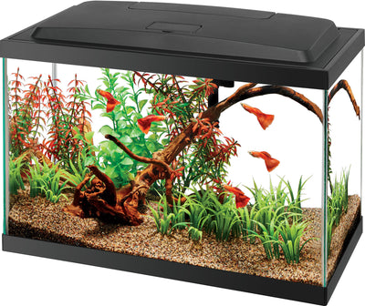 Aqueon LED Aquarium Kit Rectangle, 5.5 gal - Starter Kits
