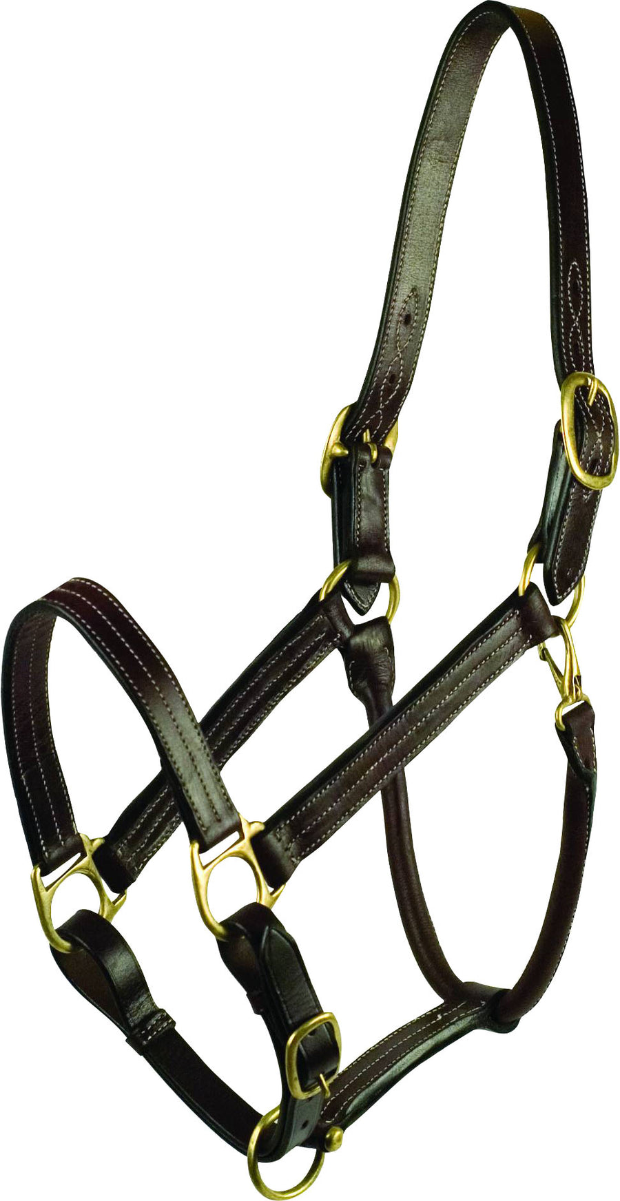 Gatsby Premium Adjustable Triple Stitched Halter, Havana, Cob