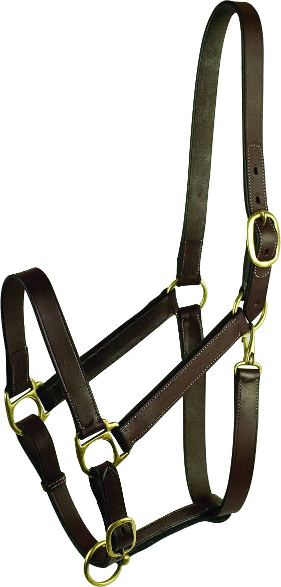 Gatsby Leather Adjustable Turnout Halter W/Snap, Havana, Suckling