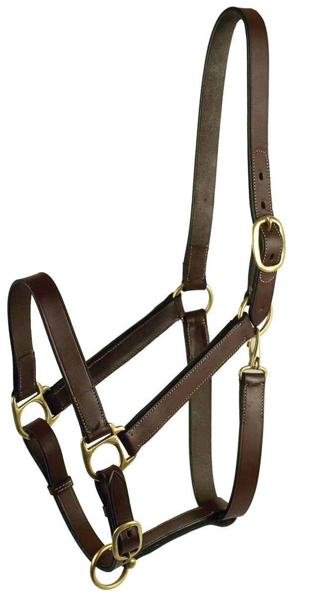 Gatsby Leather Adjustable Turnout Halter W/Snap, Havana, Yearling