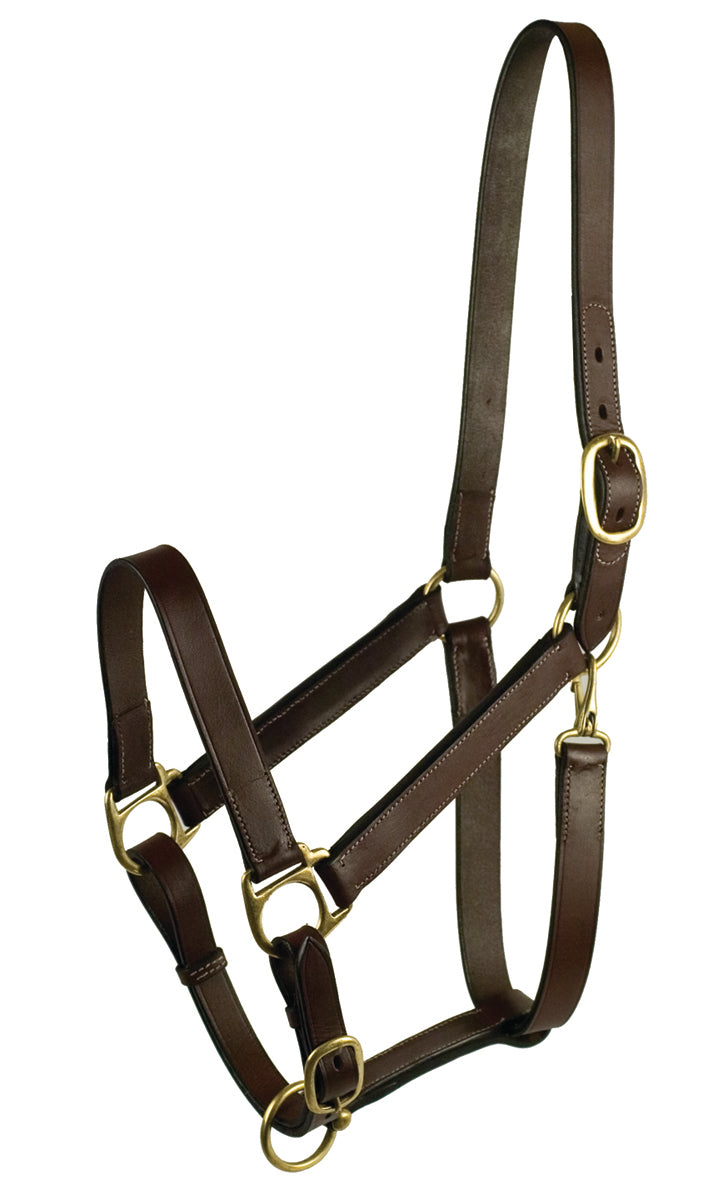 Gatsby Leather Adjustable Turnout Halter, Havana, Weanling
