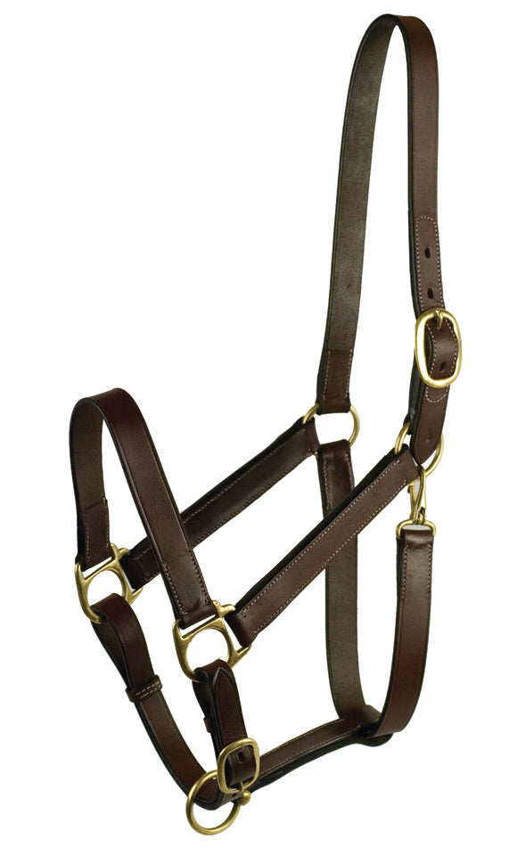 Gatsby Leather Adjustable Turnout Halter, Havana, Cob