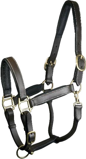 Gatsby Adjustable Padded Leather Halter, Havana, Cob