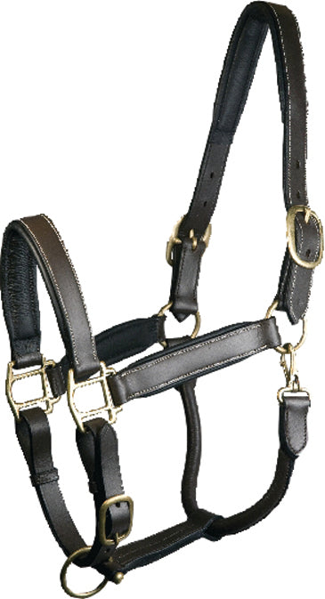 Gatsby Adjustable Padded Leather Halter, Havana, Horse