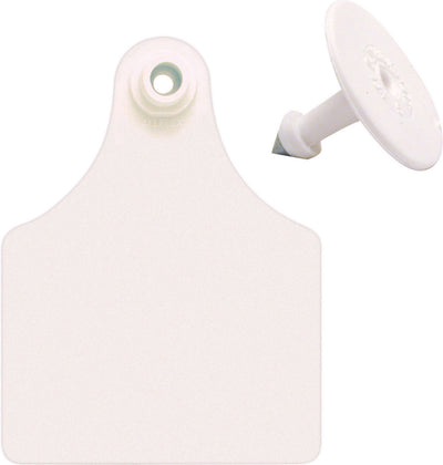 Allflex Ear Tag Blank, White, 25pk Maxi - Ear Tags