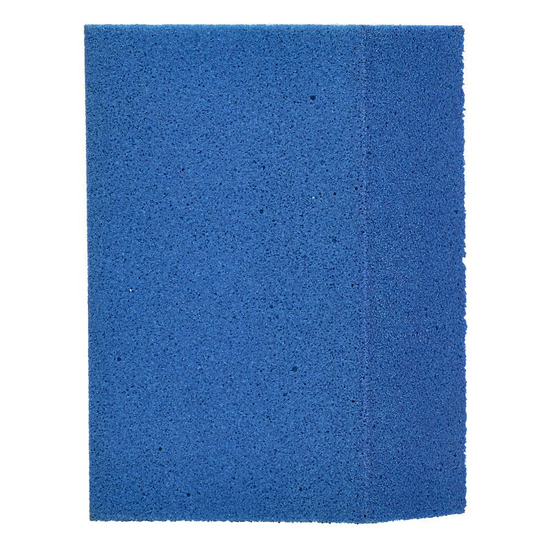 3309994.jpg