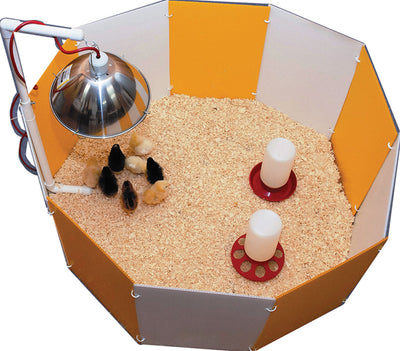 Farm Innovators Baby Chick Starter Home - Coops