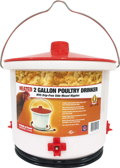 Farm Innovators Heated Poultry Drinker, White, 2 gal-60 Watt - Heated Waterer