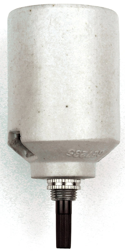 3397445.jpg